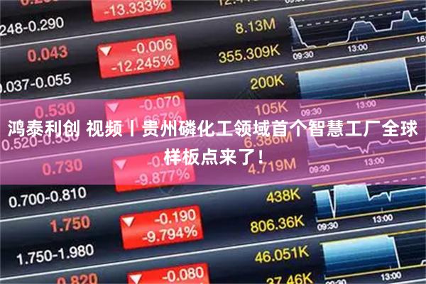 鸿泰利创 视频丨贵州磷化工领域首个智慧工厂全球样板点来了！