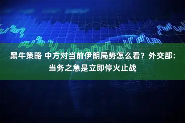 黑牛策略 中方对当前伊朗局势怎么看？外交部：当务之急是立即停火止战